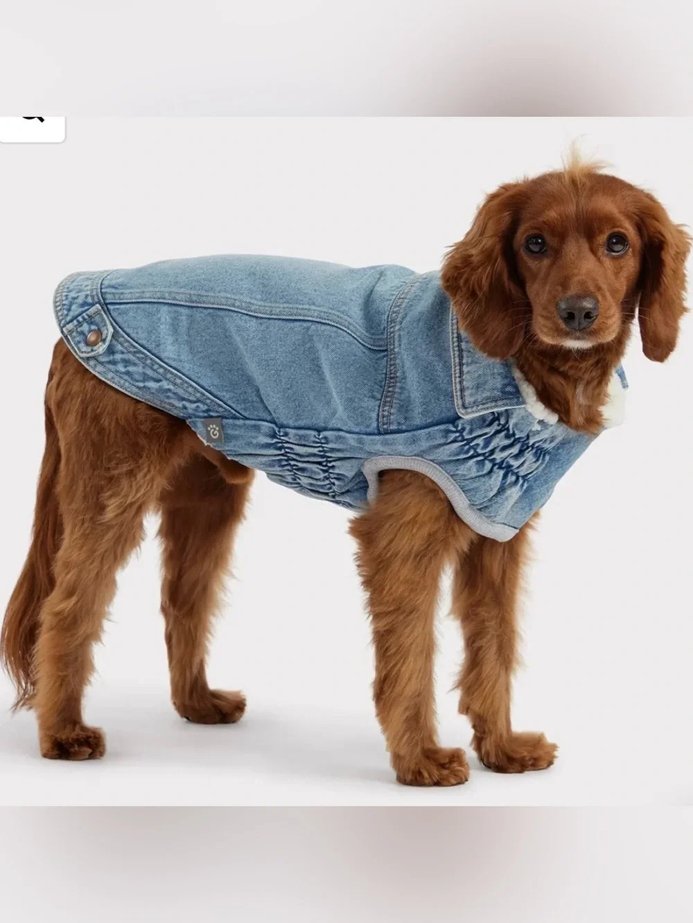 Dog 90s Inspired Jacket in Denim Blue